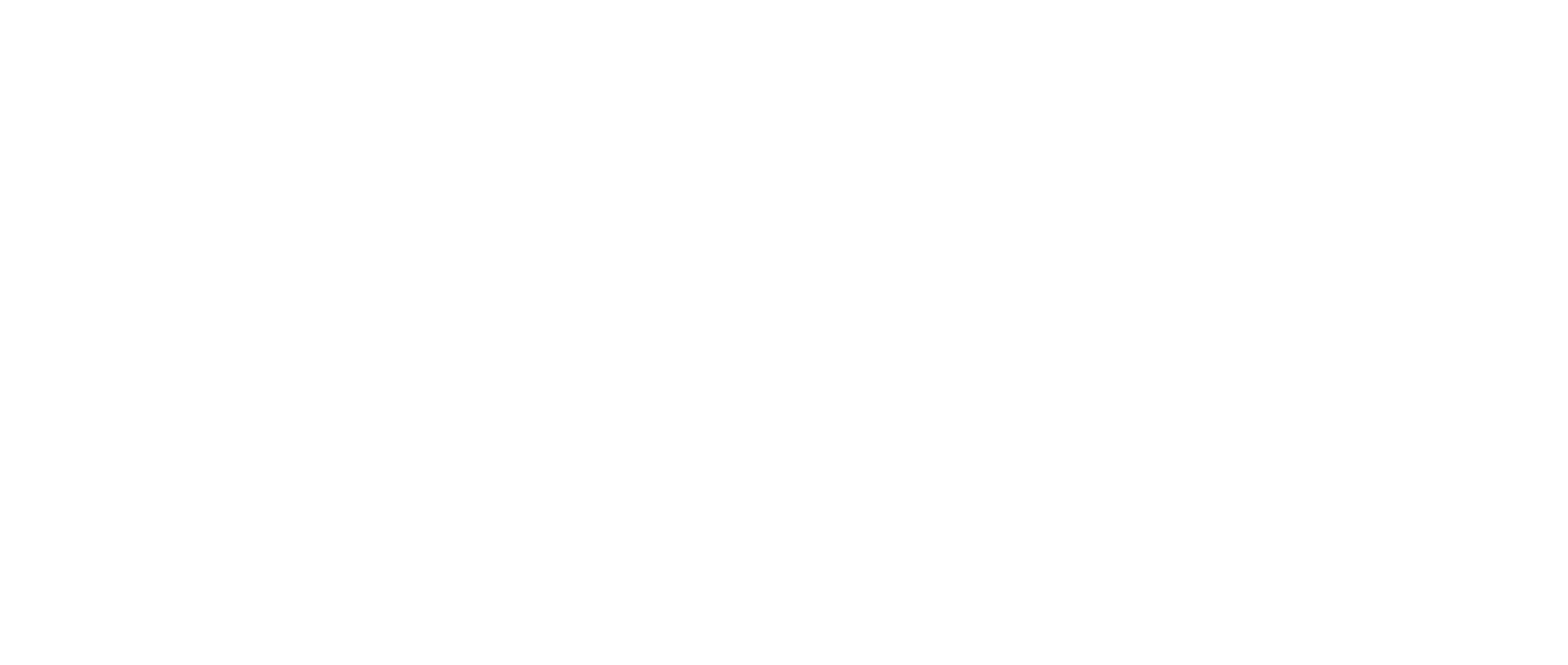 logoWHITE